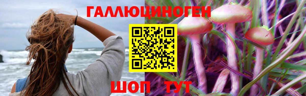 Псилоцибиновые грибы Cubensis  Псилоцибиновые грибы мицелий  Бузулук  Вход с VPN 
